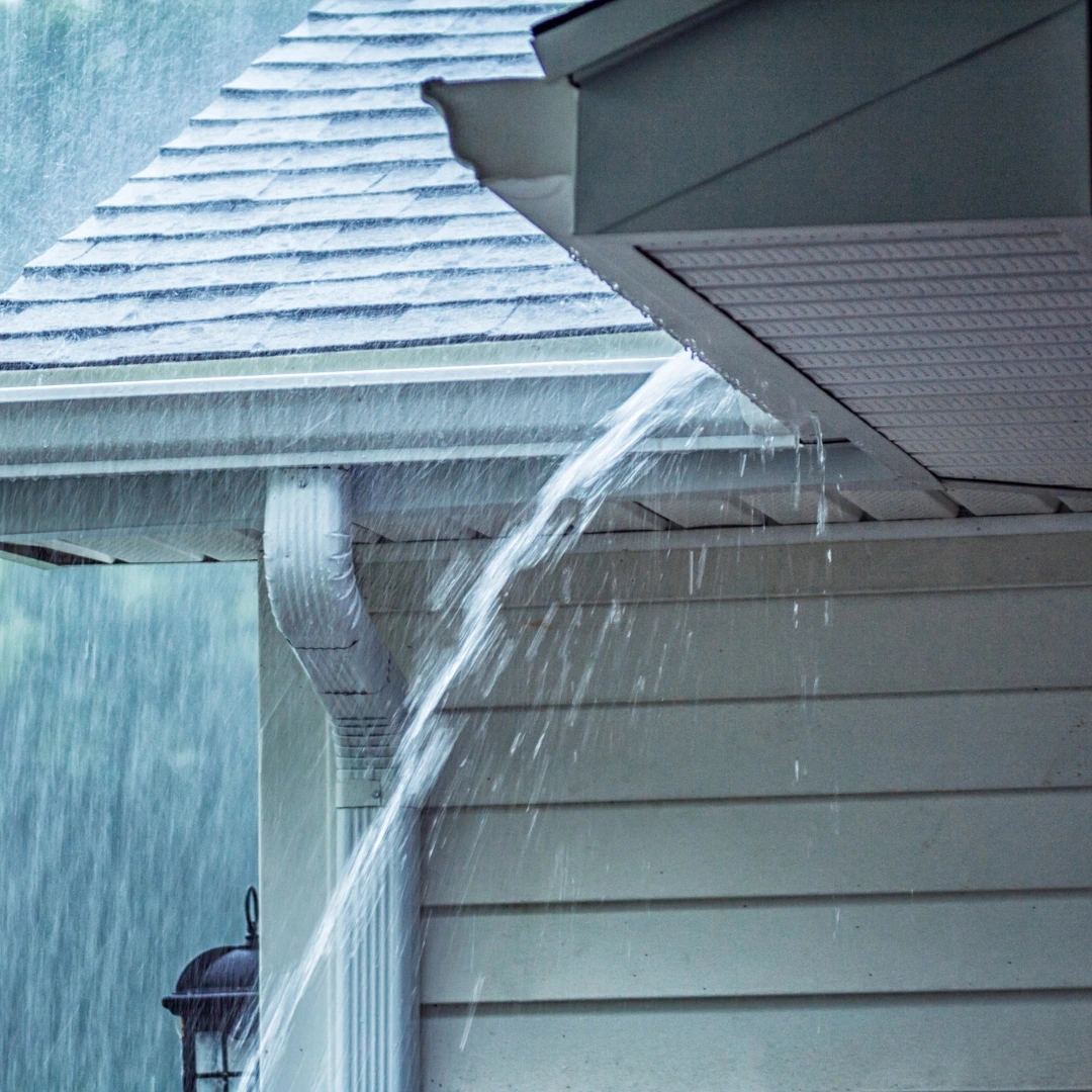 Window Leak Water Damage in State Line City: Storm Intrusion Guide